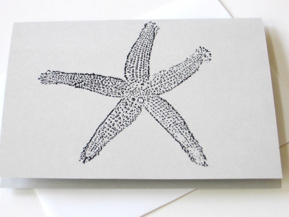 Starfish Note Cards Stationery Set of 10 Cards in White or Light Ivory ...