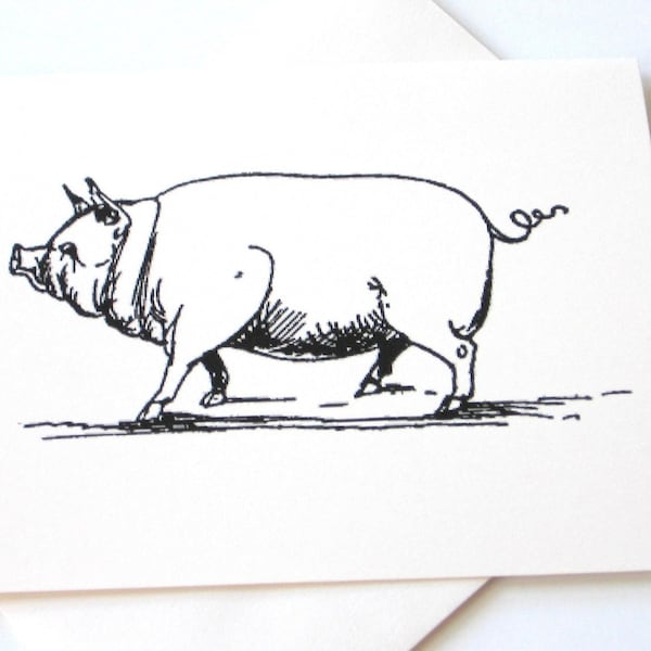 Pig Note Cards Stationery Set of 10 Cards in White or Light Ivory with Matching Envelopes