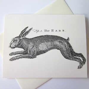 May include: Black and white illustration of a hare running, with the text "Fig. 1. The HARE." above it.