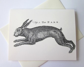 Hare Rabbit Bunny Nota Tarjetas Papelería Set de 10 Cartas en Blanco o Marfil Claro con Sobres a juego