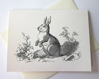 Rabbit Bunny Nota Tarjetas Papelería Set de 10 Cartas en Blanco o Marfil Claro con Sobres a juego