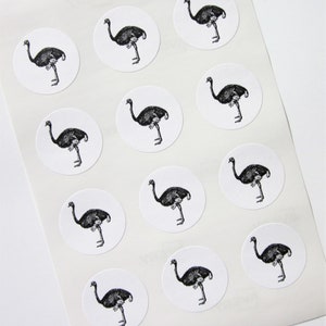 Ostrich Stickers One Inch Round Seals