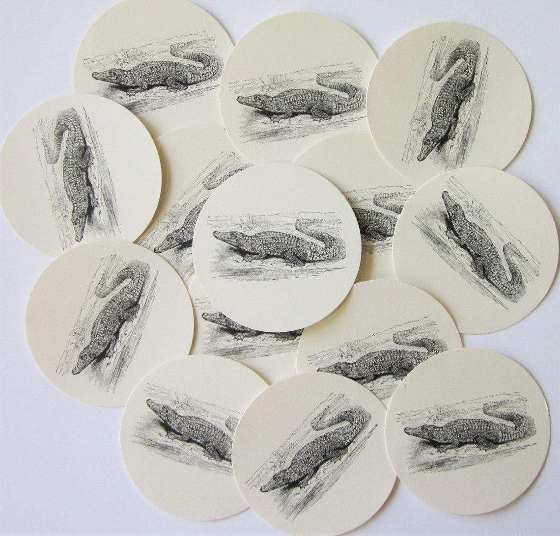 Alligator Tags Round Gift Tags Set of 10 Etsy