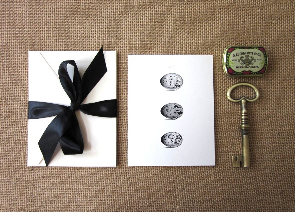 Egg Note Cards Stationery Set of 10 Cards in White or Light Ivory With ...