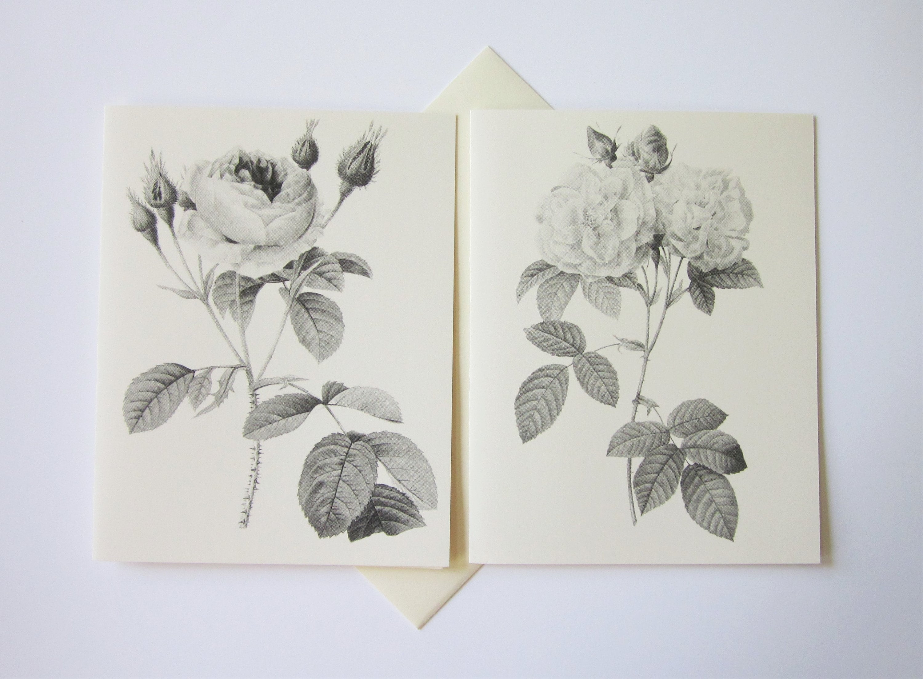 Rose Flower Floral Note Cards Stationery Set of 10 Cards in White or ...