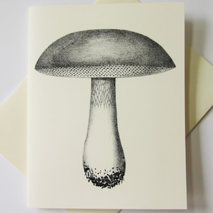 Mushroom Note Cards Stationery Set of 10 Cards in White or Light Ivory with Matching Envelopes