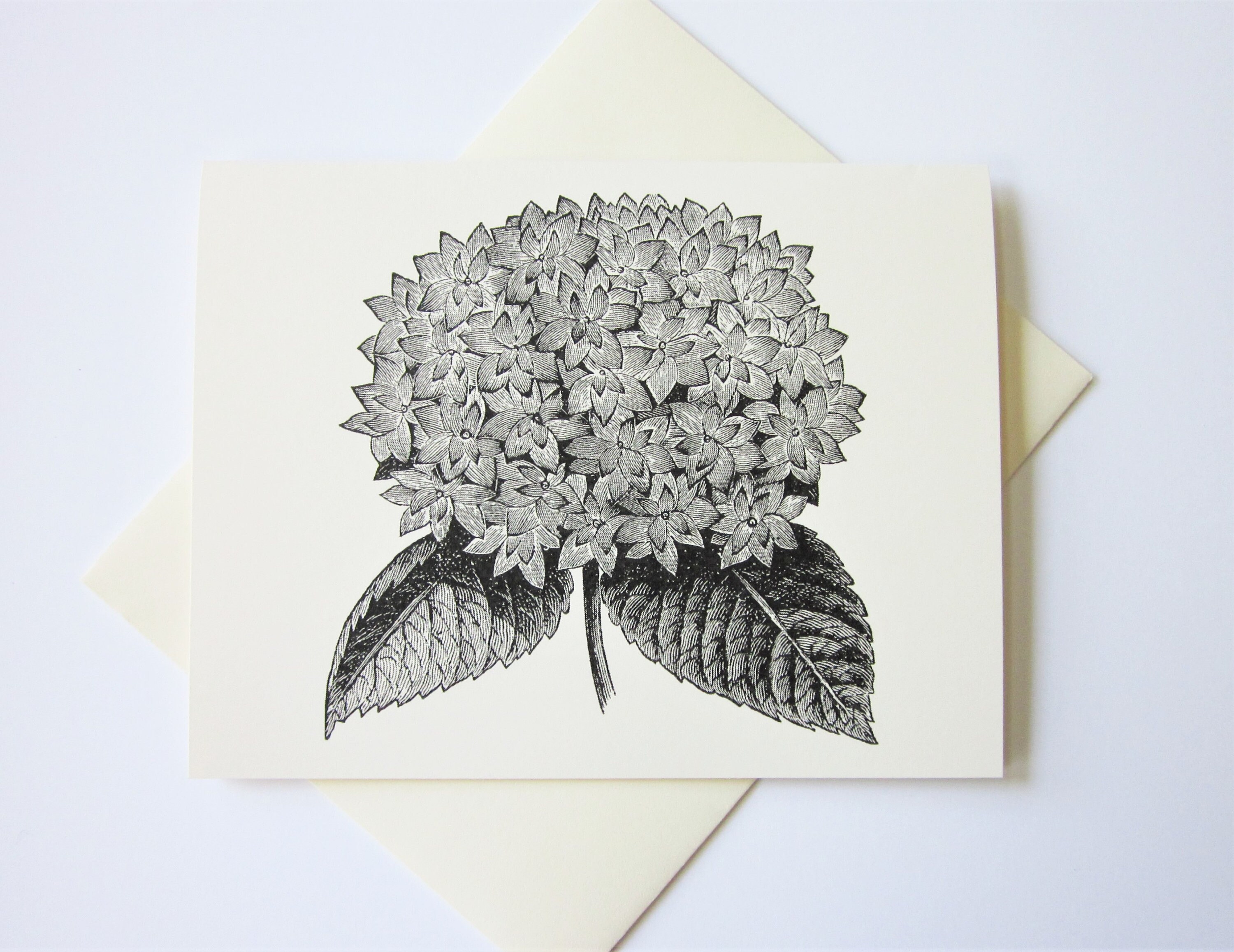 Hydrangea Flower Note Cards Set of 10 With Matching Envelopes - Etsy