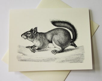 Squirrel Note Cards Set of 10 with Matching Envelopes