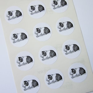 Guinea Pig Stickers One Inch Round Seals