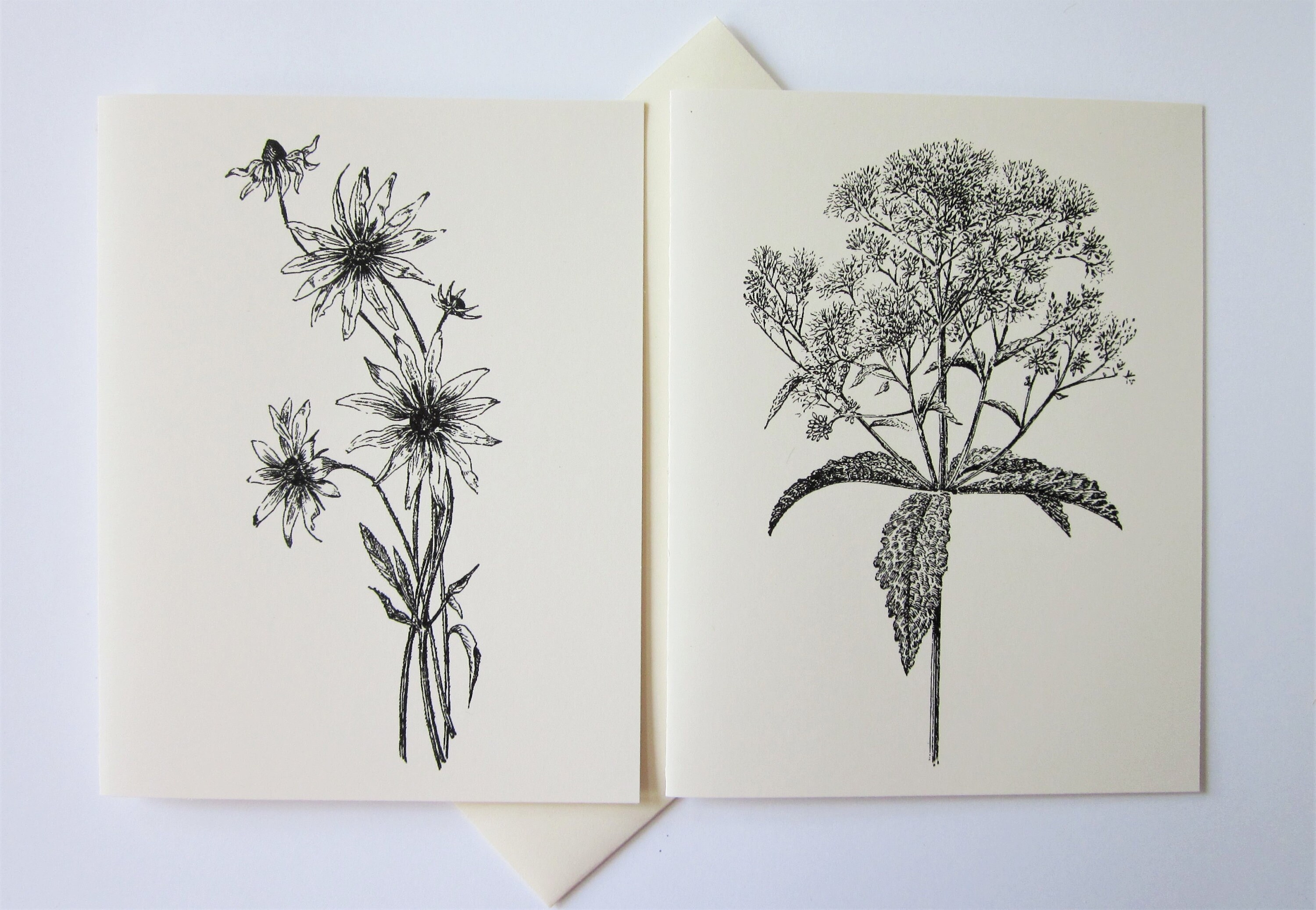 Wildflower Note Cards Set of 12 With Matching Envelopes - Etsy