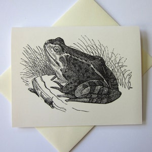 Jeu de cartes Frog Note de 10 avec enveloppes assorties