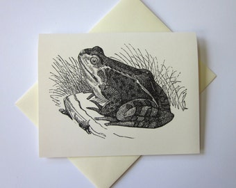 Frog Note Cards Set de 10 con sobres coincidentes