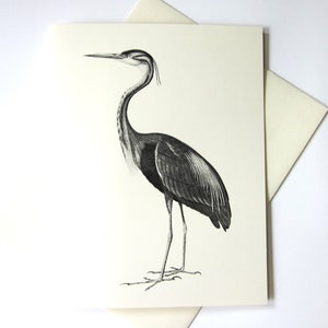 Conjunto de 10 cartões de notas para pássaros Egret Crane Shore Bird com envelopes correspondentes