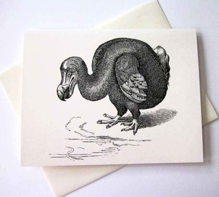Dodo Bird Note Card Set of 10 in White or Light Ivory With Matching ...