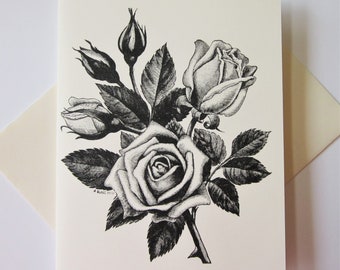Tea Rose Flower Note Cards Set di 10 con buste abbinate