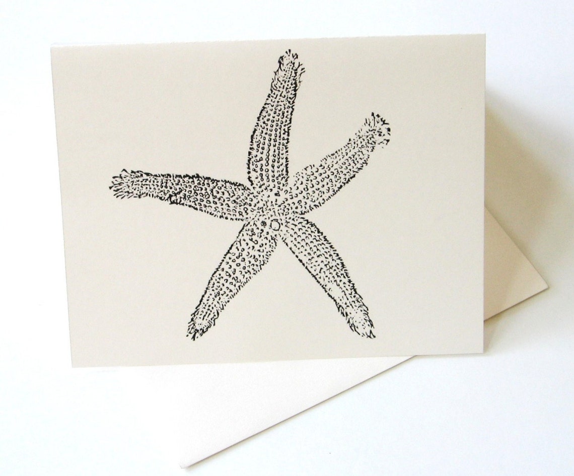 Starfish Note Card Set of 4 With Matching Envelopes - Etsy