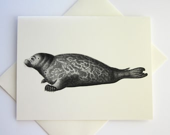 Seal Sealion Note Cards Set of 10 with Matching Envelopes