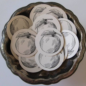 Apple Tags Set of 10 As Seen In Martha Stewart Weddings Magazine