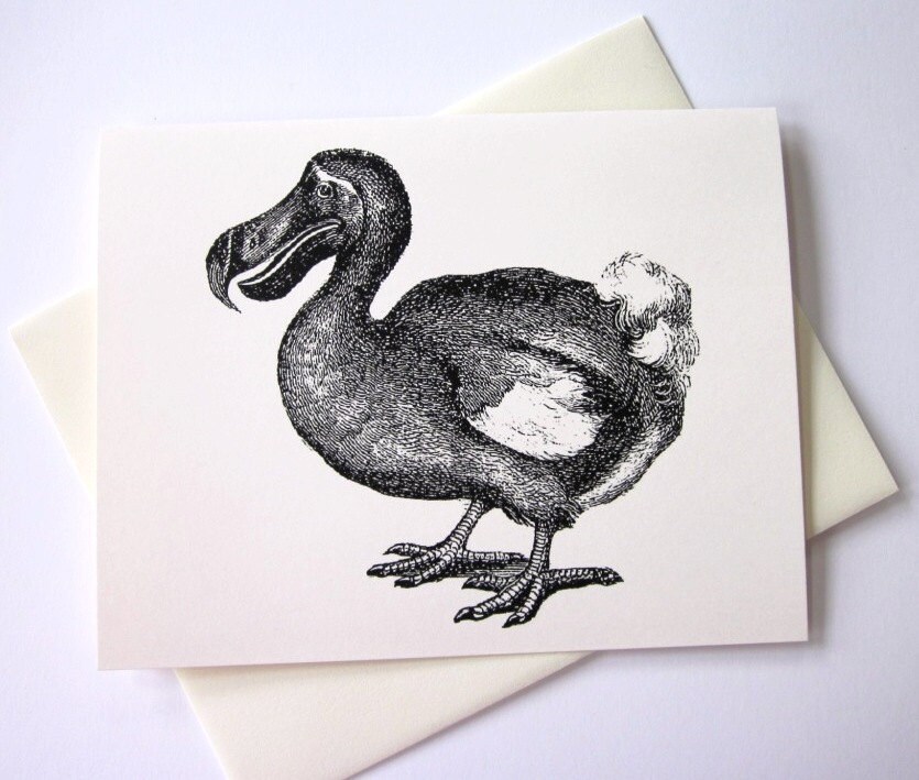 Dodo Bird Note Card Set of 10 in White or Light Ivory With Matching ...