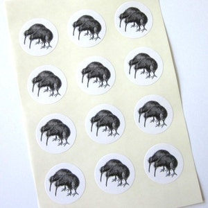 Kiwi Bird Stickers One Inch Round Seals