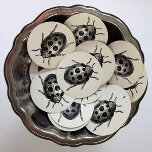 Coccinella Tag rotonda carta regalo tag Set di 10