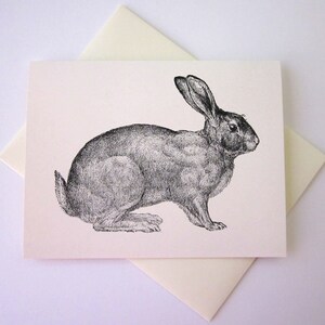 Rabbit Note Card Set of 10 in White or Light Ivory With Matching ...