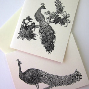Pfauen Note Card 10er Set in Weiß oder Hellem Elfenbein mit passenden Umschlägen