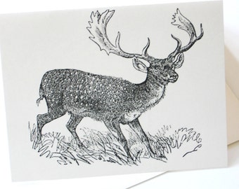Deer Note Cards Stationery Set of 10 Cards in White or Light Ivory with Matching Envelopes
