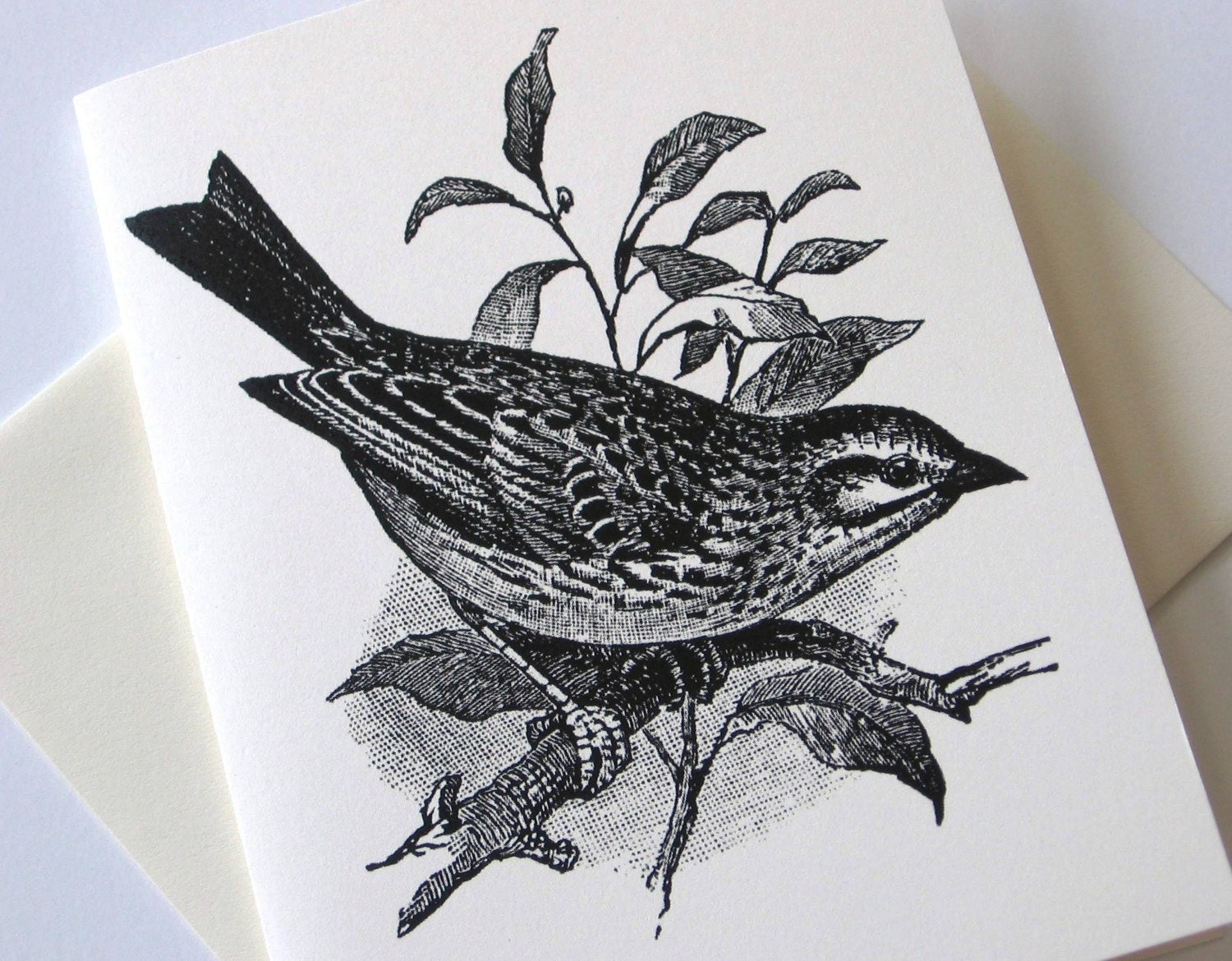 Sparrow Bird Note Cards Set of 10 Etsy