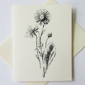 Daisy Dandelion Wildflower Flower Note Cards Papeterie Ensemble de 10 cartes en ivoire blanc ou léger avec enveloppes assorties