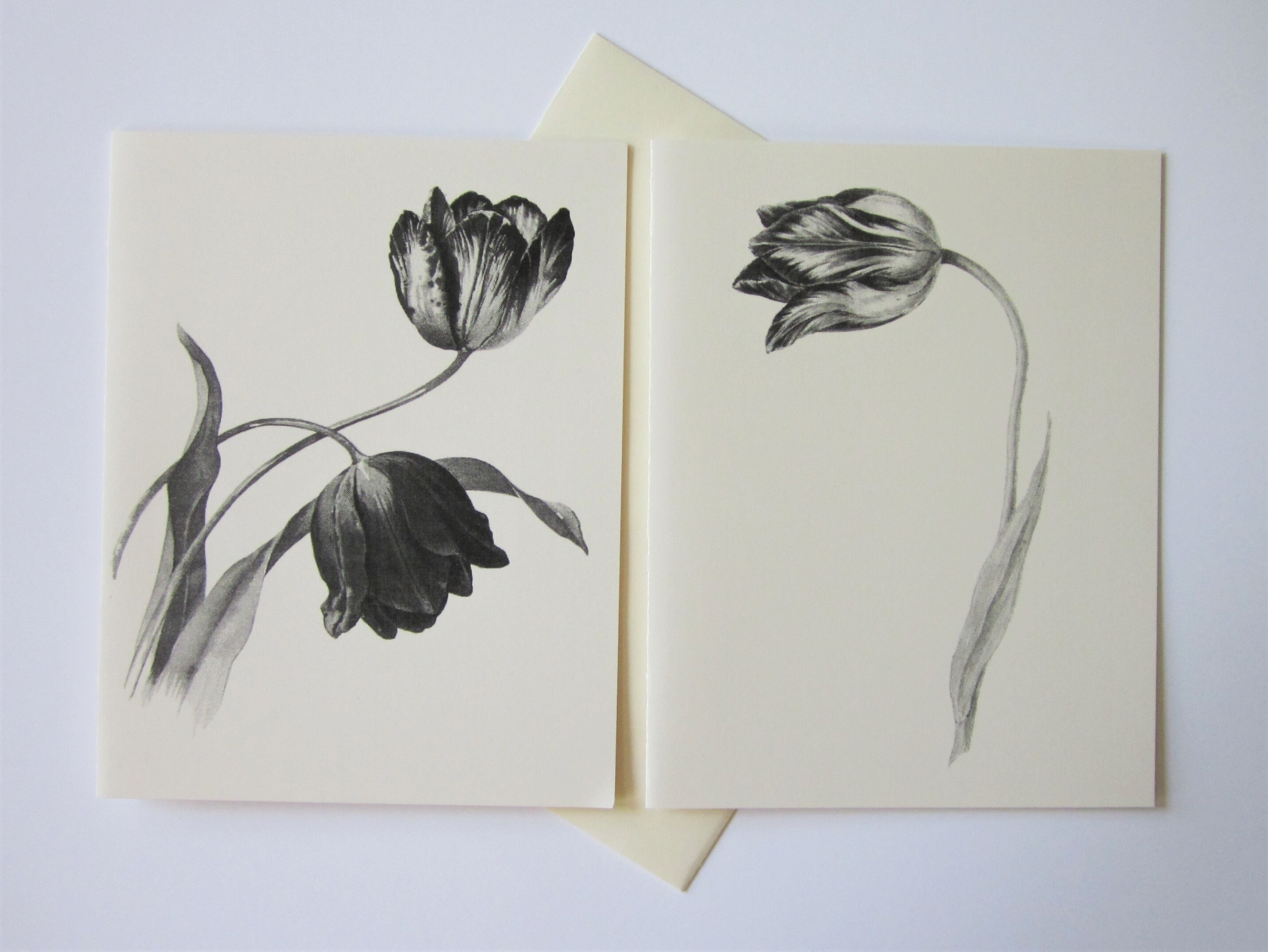 Tulips Note Tulips Flower Floral Note Cards Stationery Set of 12 Cards in White or ...