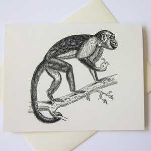 Monkey Note Cards Set de 10 con sobres coincidentes