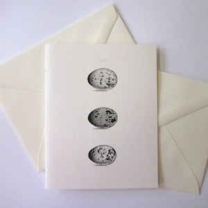 Tarjetas de notas de huevo Juego de 10 cartas en blanco o marfil claro con sobres a juego