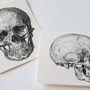 Skull Note Cards Set of 10 with Matching Envelopes image 1