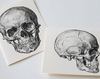 Skull Note Cards Set of 10 with Matching Envelopes