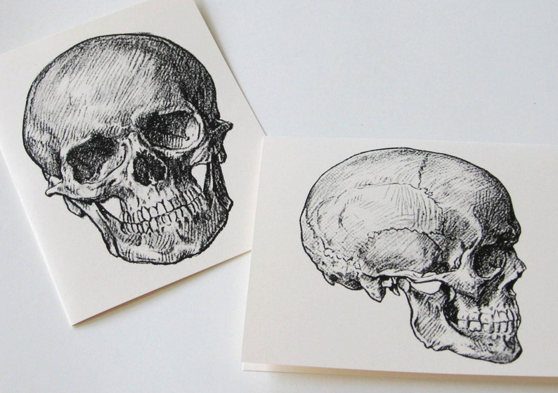 Skull Note Cards Set of 10 with Matching Envelopes image 1