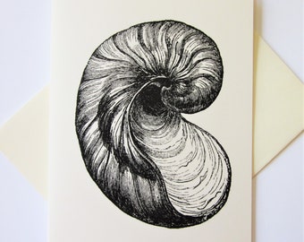 Nautilus Shell Note Cards Stationery Set of 10 Cards in White or Light Ivory with Matching Envelopes