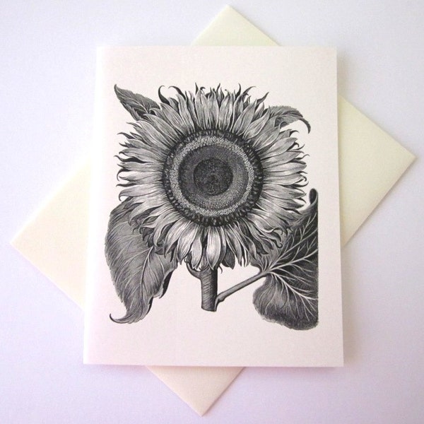 Sunflower Note Card Set of 10 in White or Light Ivory with Matching Envelopes