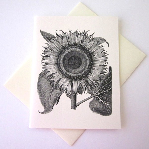Sunflower Note Cards Etsy