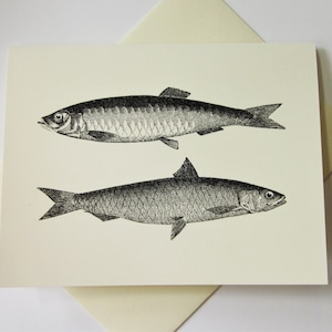 Cartas de notas de pescado Juego de 10 cartas en blanco o marfil claro con sobres a juego