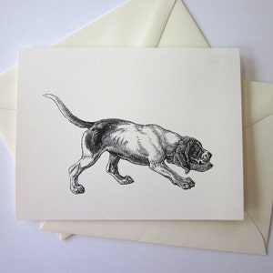 Conjunto de cartões de papelaria para cães de caça, 10 cartões em branco ou marfim claro com envelopes correspondentes