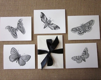 Moth Butterfly Note Cards Ensemble de 10 avec enveloppes assorties