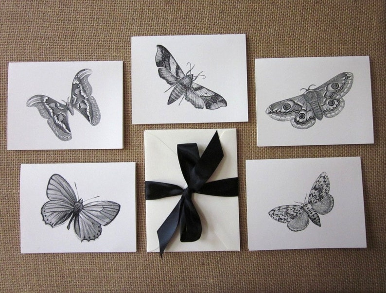 Moth Butterfly Note Cards Set of 10 With Matching Envelopes - Etsy
