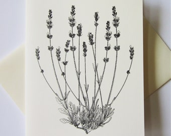 Lavender Note Cards Set of 10 with Matching Envelopes