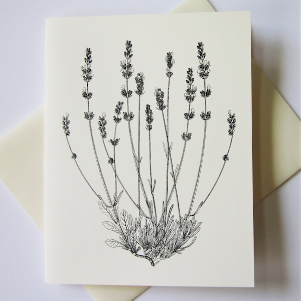 Lavender Note Cards Set of 10 with Matching Envelopes