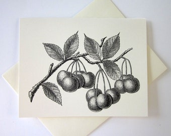 Cherry Fruit Cards Set of 10 in White or Light Ivory with Matching Envelopes