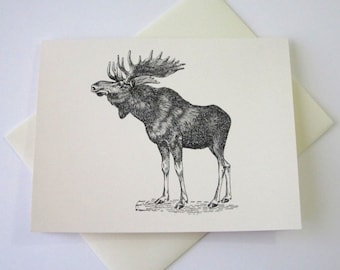 Op de afbeelding: Zwart-witte lijntekening van een eland met grote geweien. De eland staat op een vlak oppervlak.