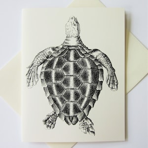 Turtle Tortoise Note Cards Set of 10 with Matching Envelopes