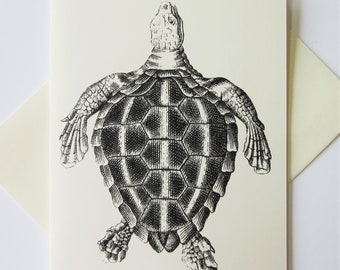 Turtle Tortoise Note Cards Set di 10 con buste abbinate