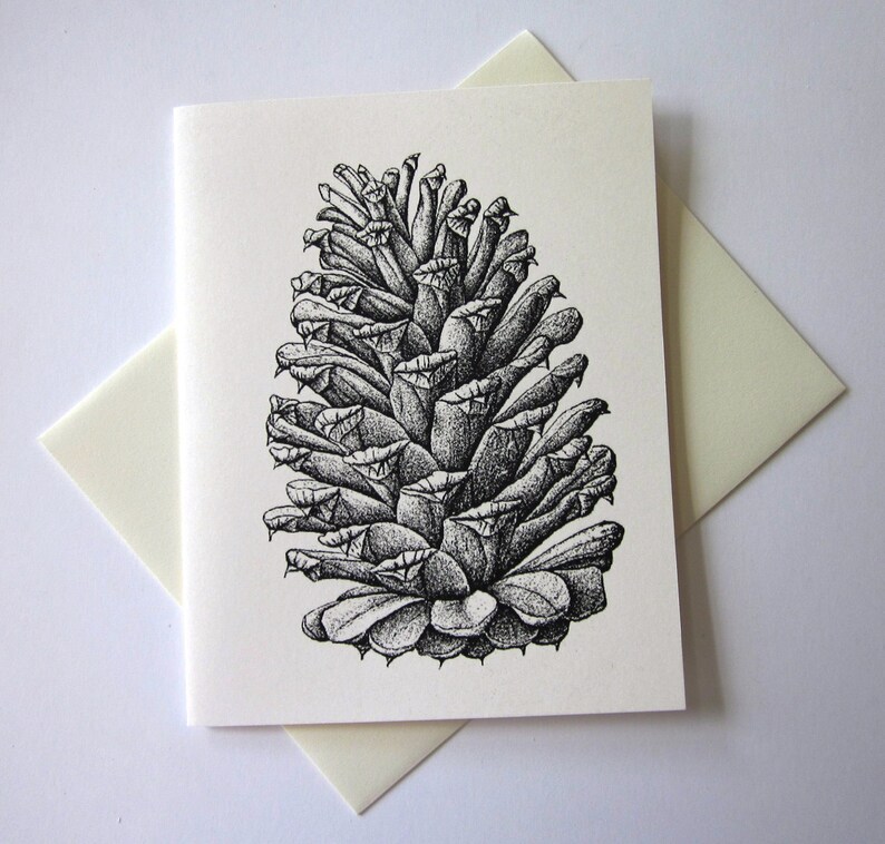 Pine Cone Note Cards Stationery Set of 10 Cards with Matching image 3